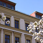 Schönhauser Allee, Berlin-Mitte